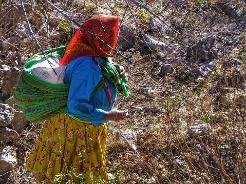 Tarahumaras abandonan tierras por violencia Chihuahua
