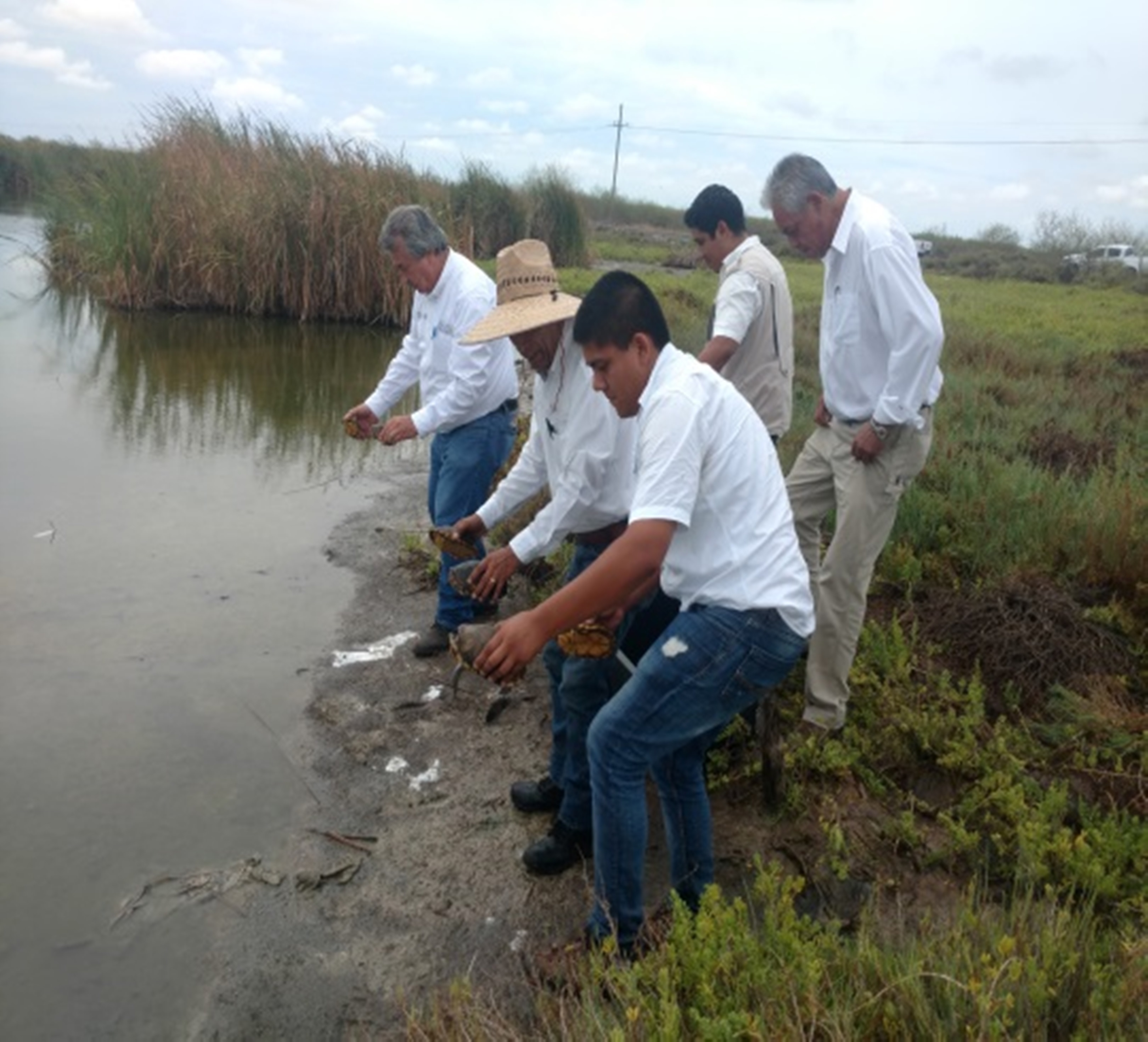 Personal de Profepa libera a varios reptiles en Culiacán