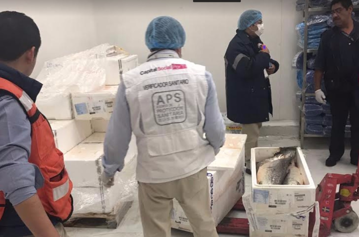 Aseguran media tonelada salmón aeropuerto CDMX