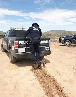 olicía Federal destruye pista clandestina en Sonora