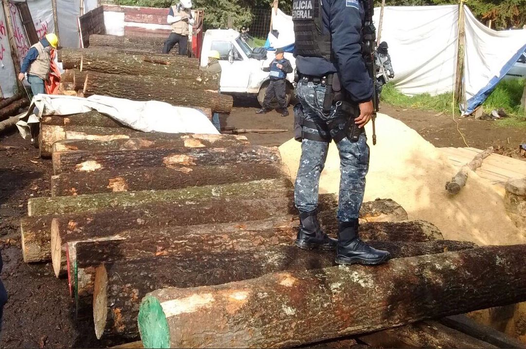 Aplican operativo contra tala ilegal en el Ajusco