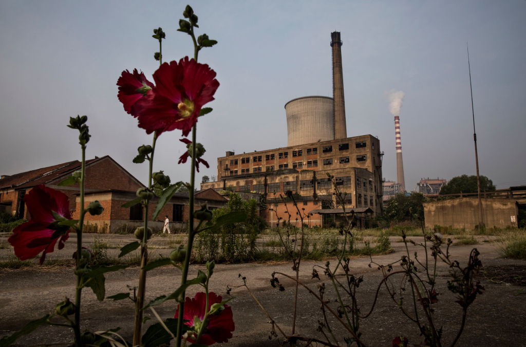 China, fábrica, flor, recursos, renovables, Planeta, Tierra