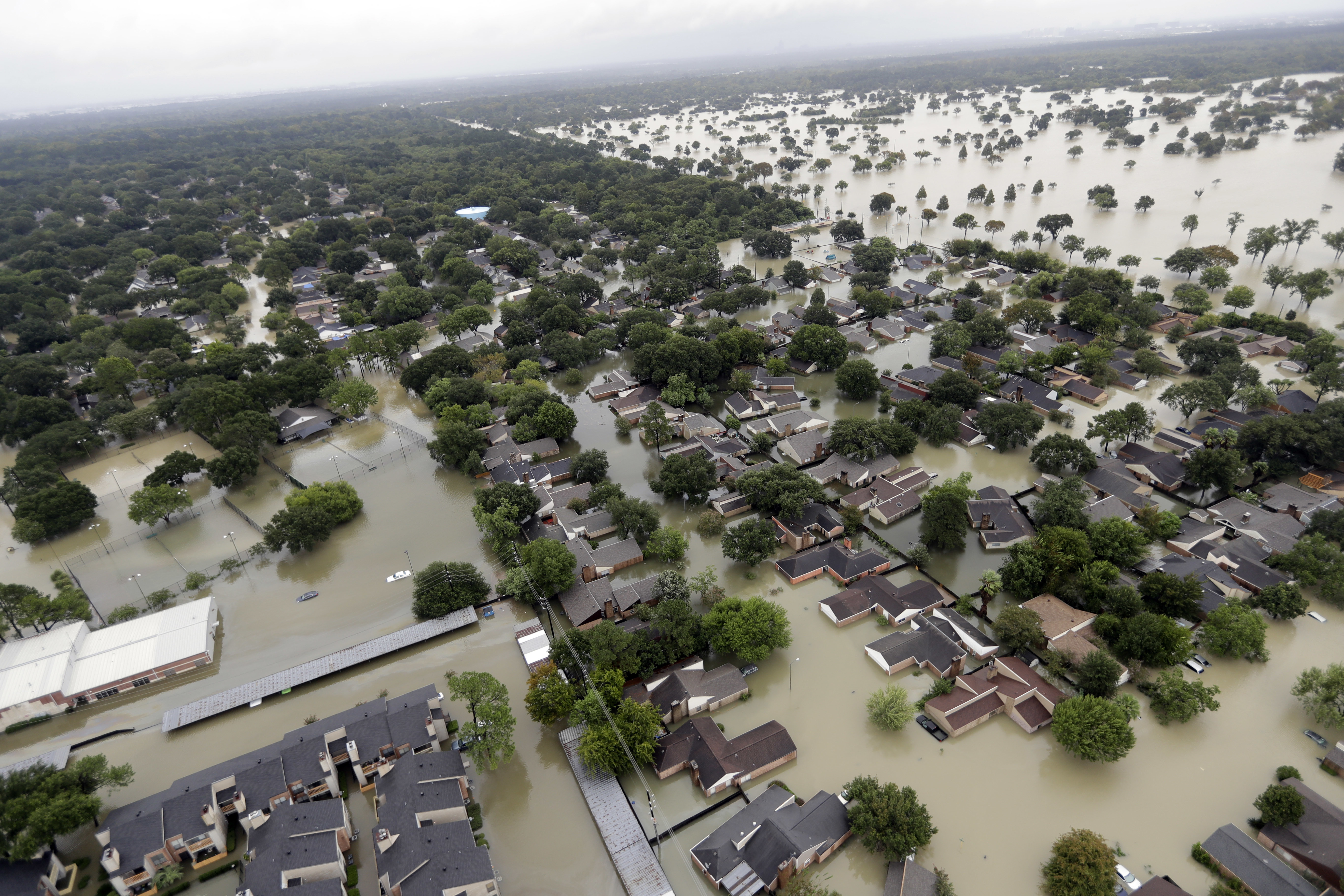 Alcalde Houston impone toque queda inundaciones y saqueos