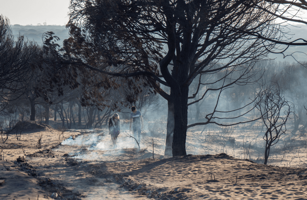 Un incendio forestal en España destruyó decenas de hectáreas