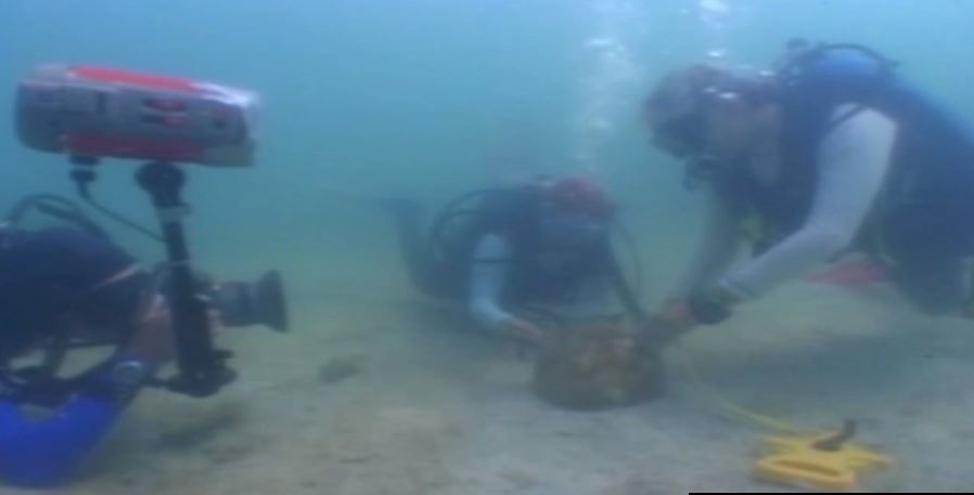 INAH Campeche recibe reconocimiento de Unesco por patrimonio subacuático