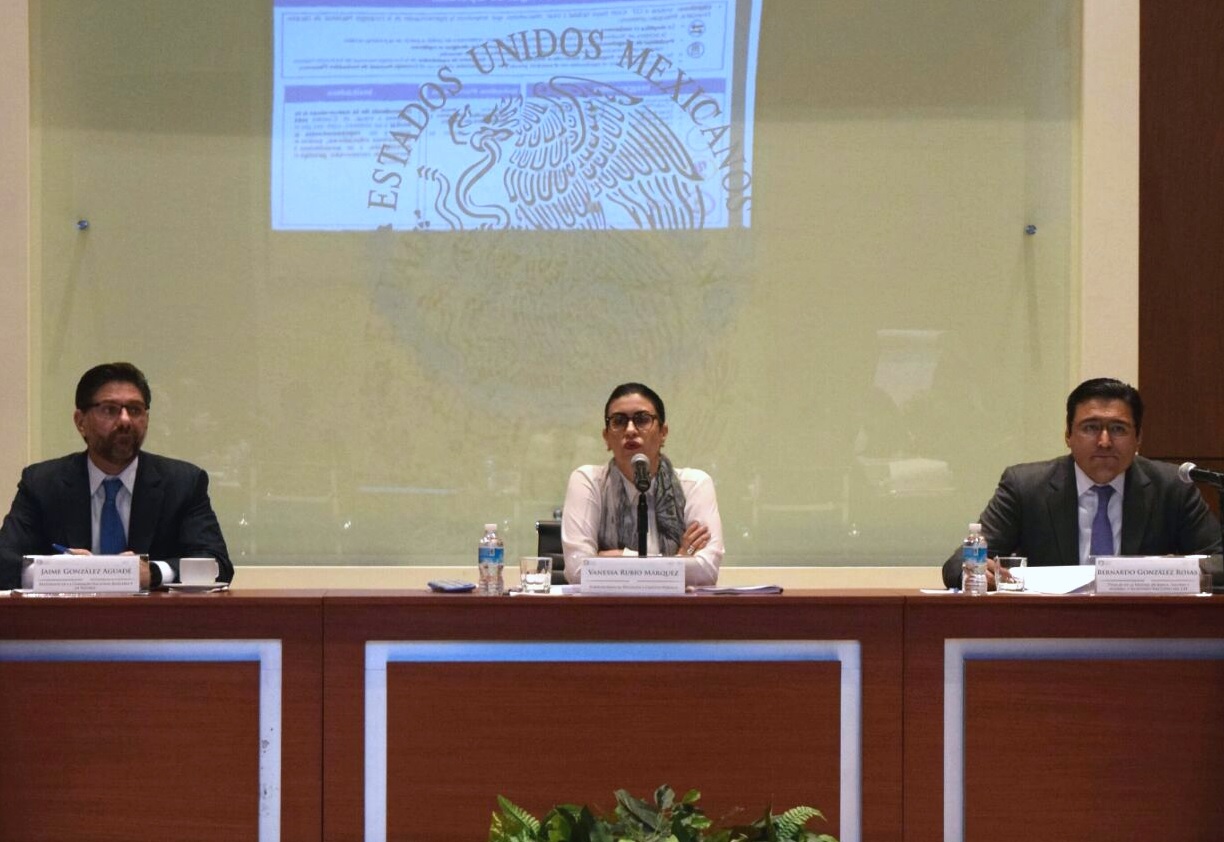 Vanessa Rubio preside Comité Educación Financiera