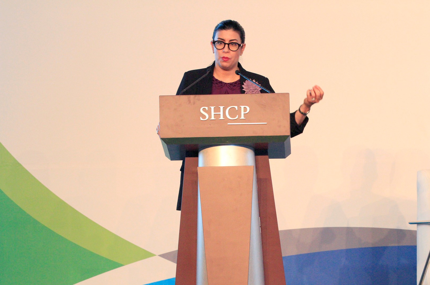 Vanessa Rubio, subsecretaria de Hacienda en conferencia