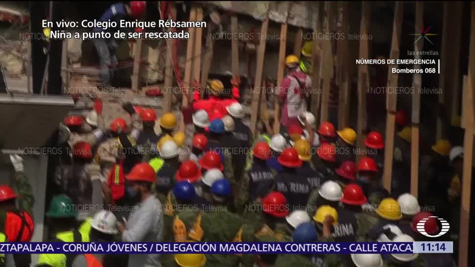 Perro rescatista se escabulle entre escombros del colegio Enrique Rébsamen, CDMX