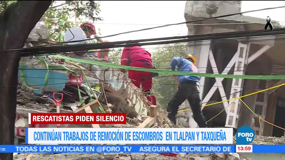Un binomio canino explora zona de derrumbe tras sismo en Tlalpan y Taxqueña