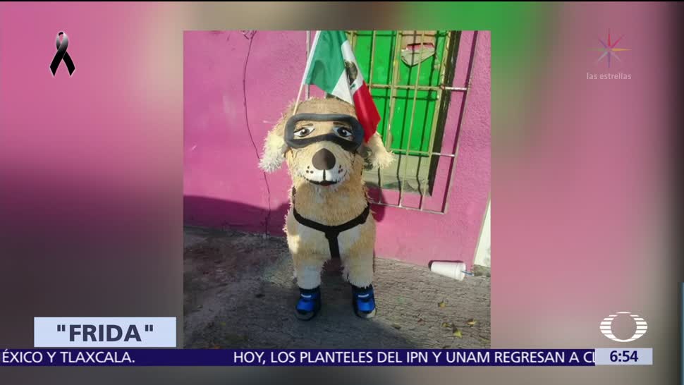 Frida se convierte en símbolo de perros rescatistas en CDMX
