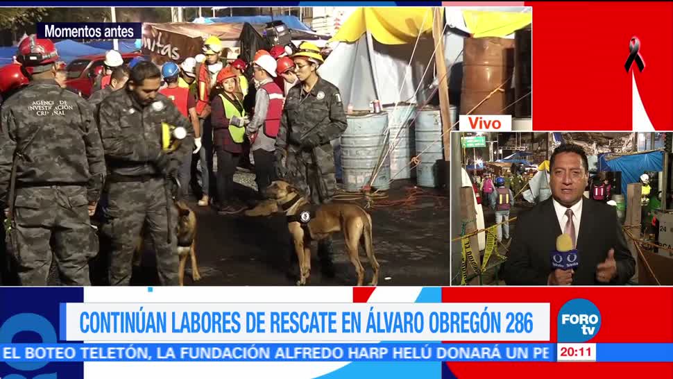 Dan masaje a rescatistas caninos en Álvaro Obregón