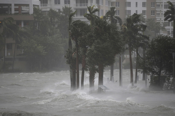 Cae segunda grúa en Miami por ‘Irma’ y se registran primeros saqueos