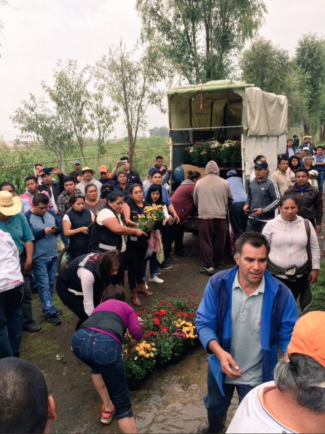 agricultores de xochimilco son afectados por lluvias