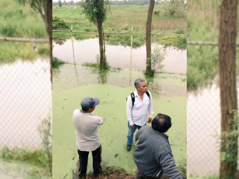 agricultores de xochimilco son afectados por las lluvias