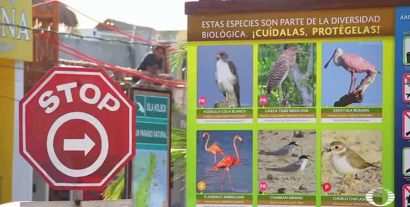 Anuncio de especies protegidas en Holbox, Quintana Roo 