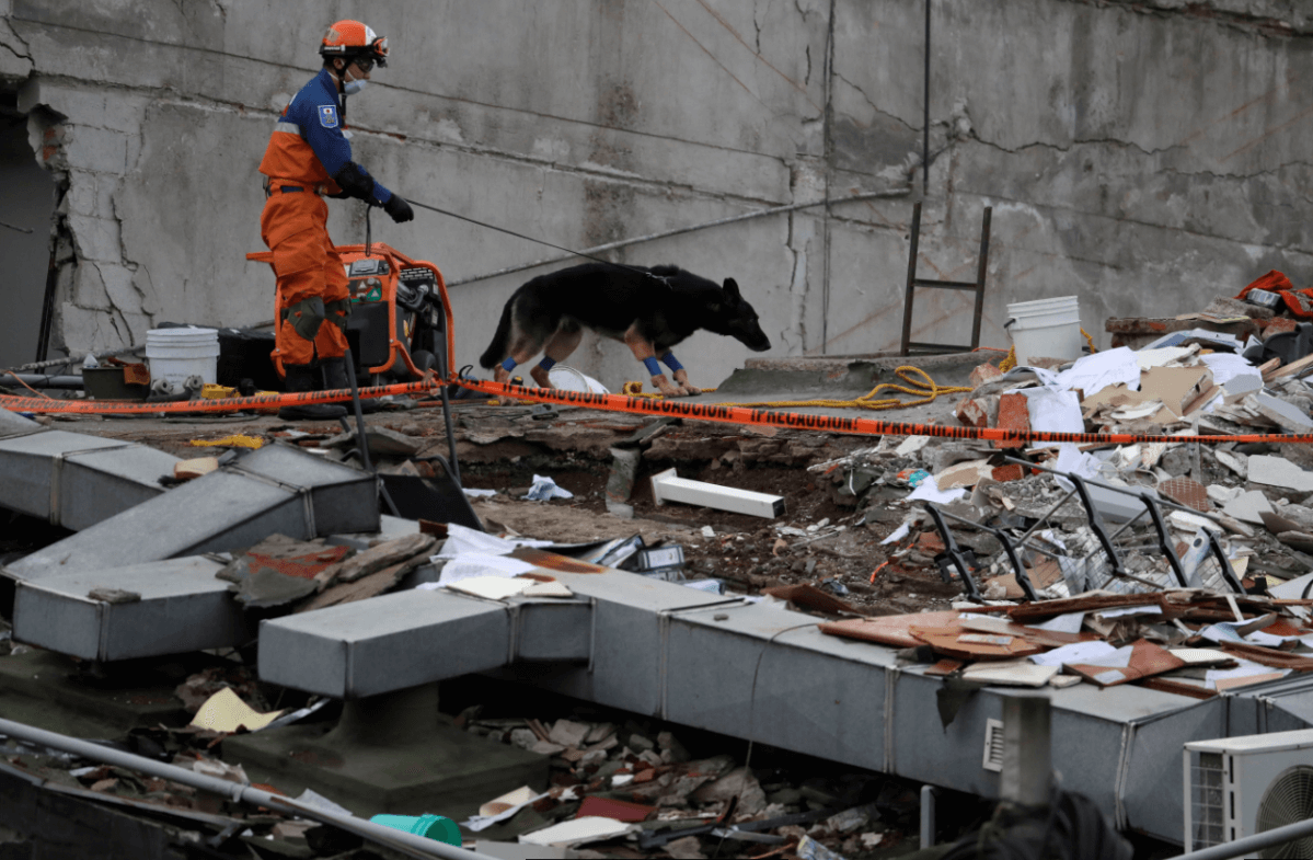 Continúan las labores de rescate en la Ciudad de México