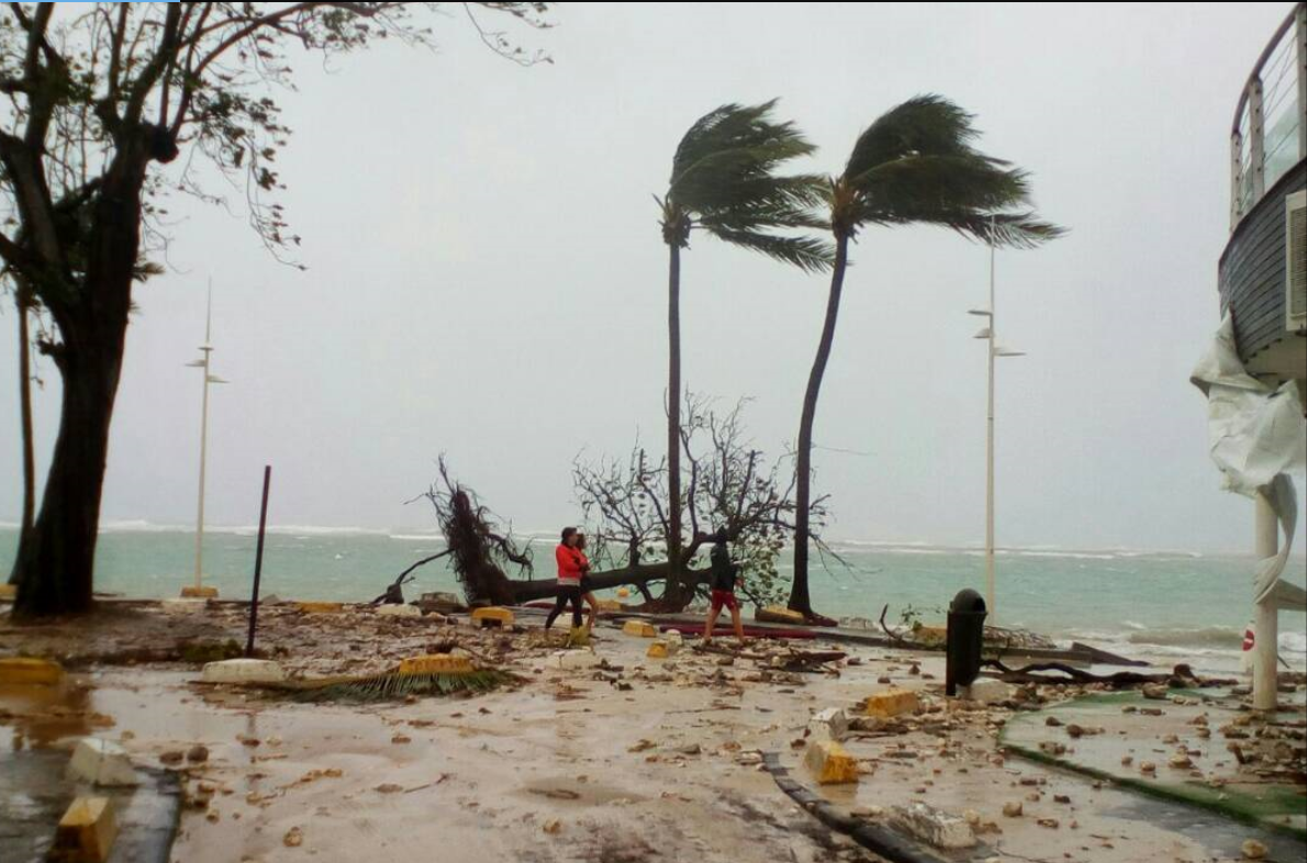 Efectos del huracán María en la isla Guadalupe