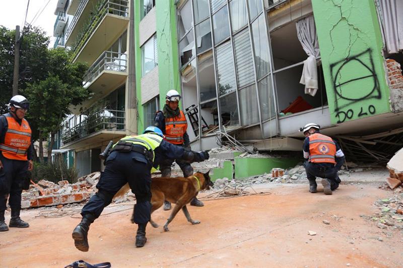 Reportan 28 edificios derrumbados en la Cuauhtémoc tras sismo