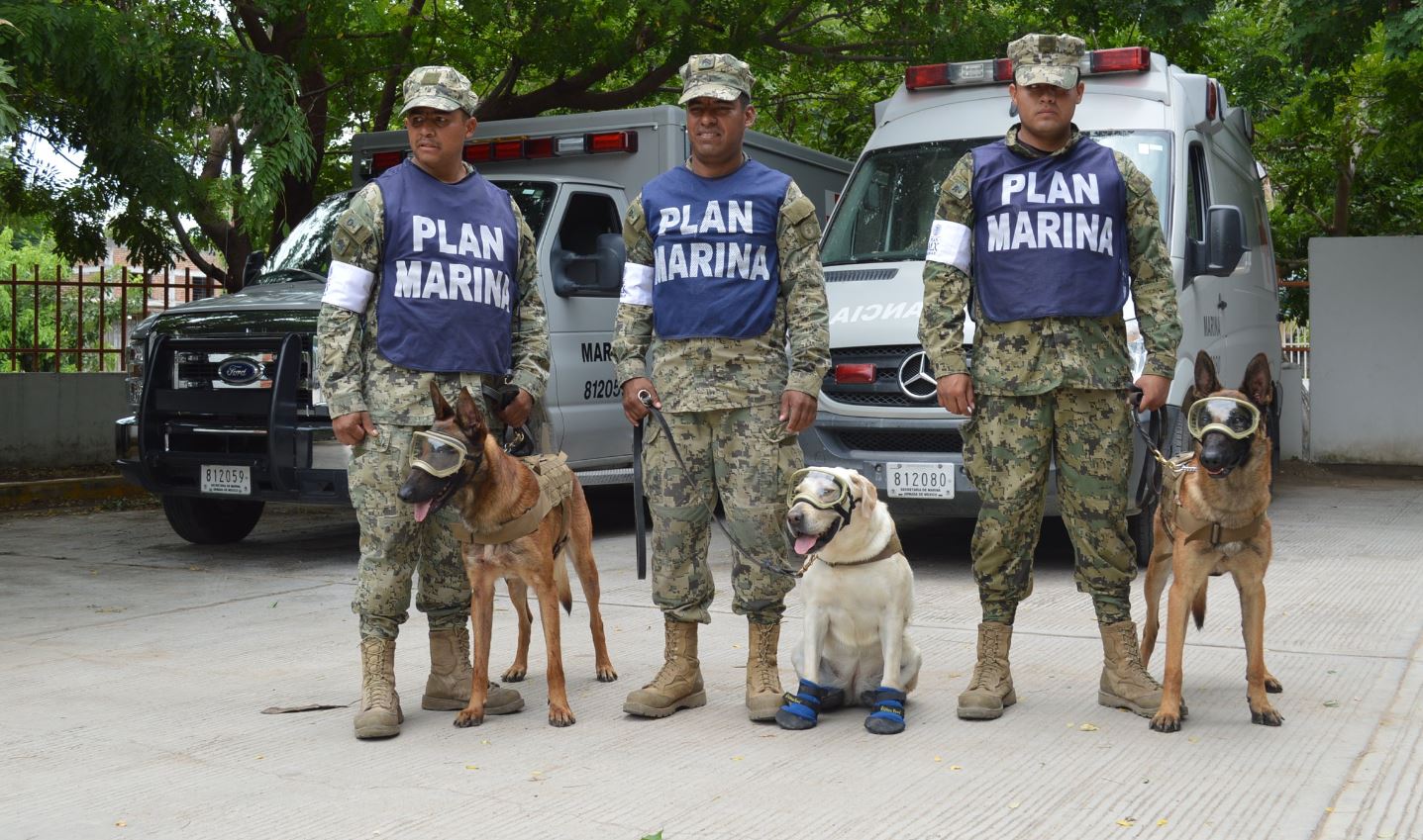 ‘Frida’ pertenece a la Unidad Canina de la Secretaría de Marina de México