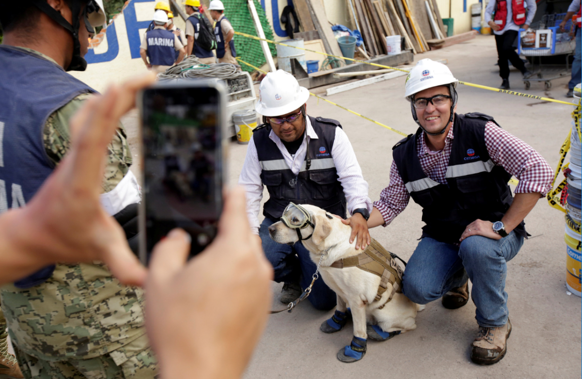 Frida usa equipo especializado para rastrear entre los escombros. (Reuters)