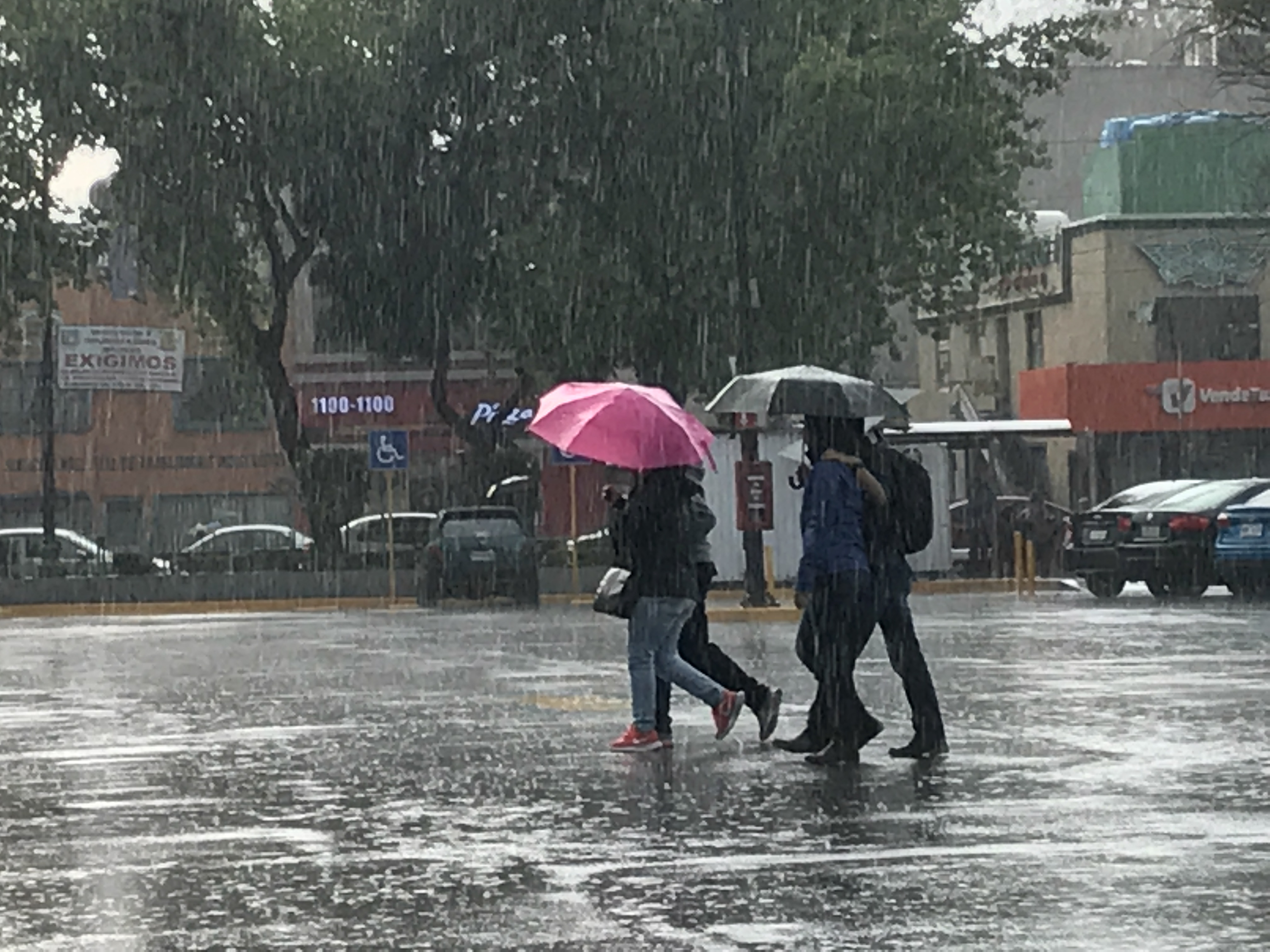 Foto: Se registran tormentas en la Ciudad de México y zona conurbada, 24 febrero 2019