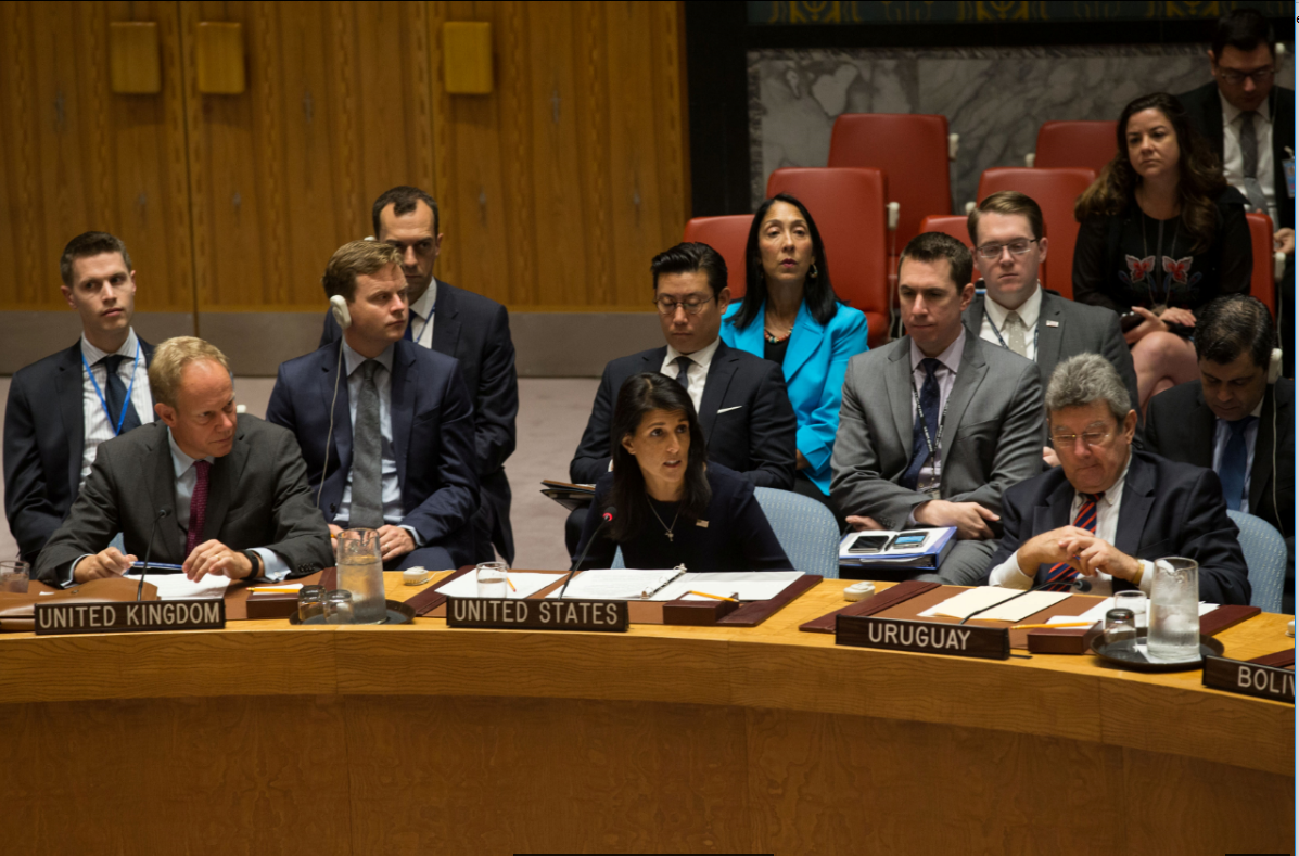 Reunión en el Consejo de Seguridad de la ONU