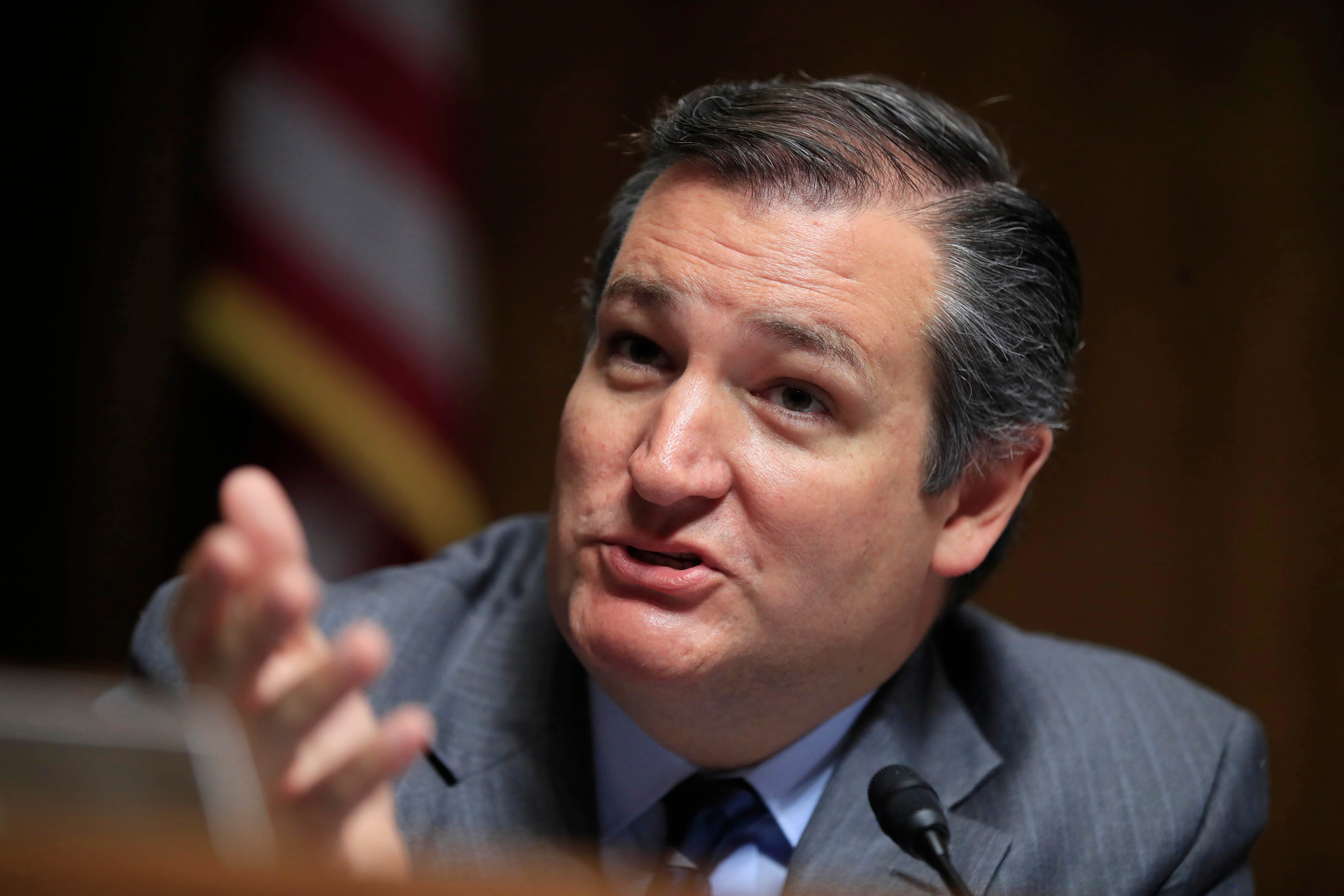 Ted Cruz, senador republicano por Texas