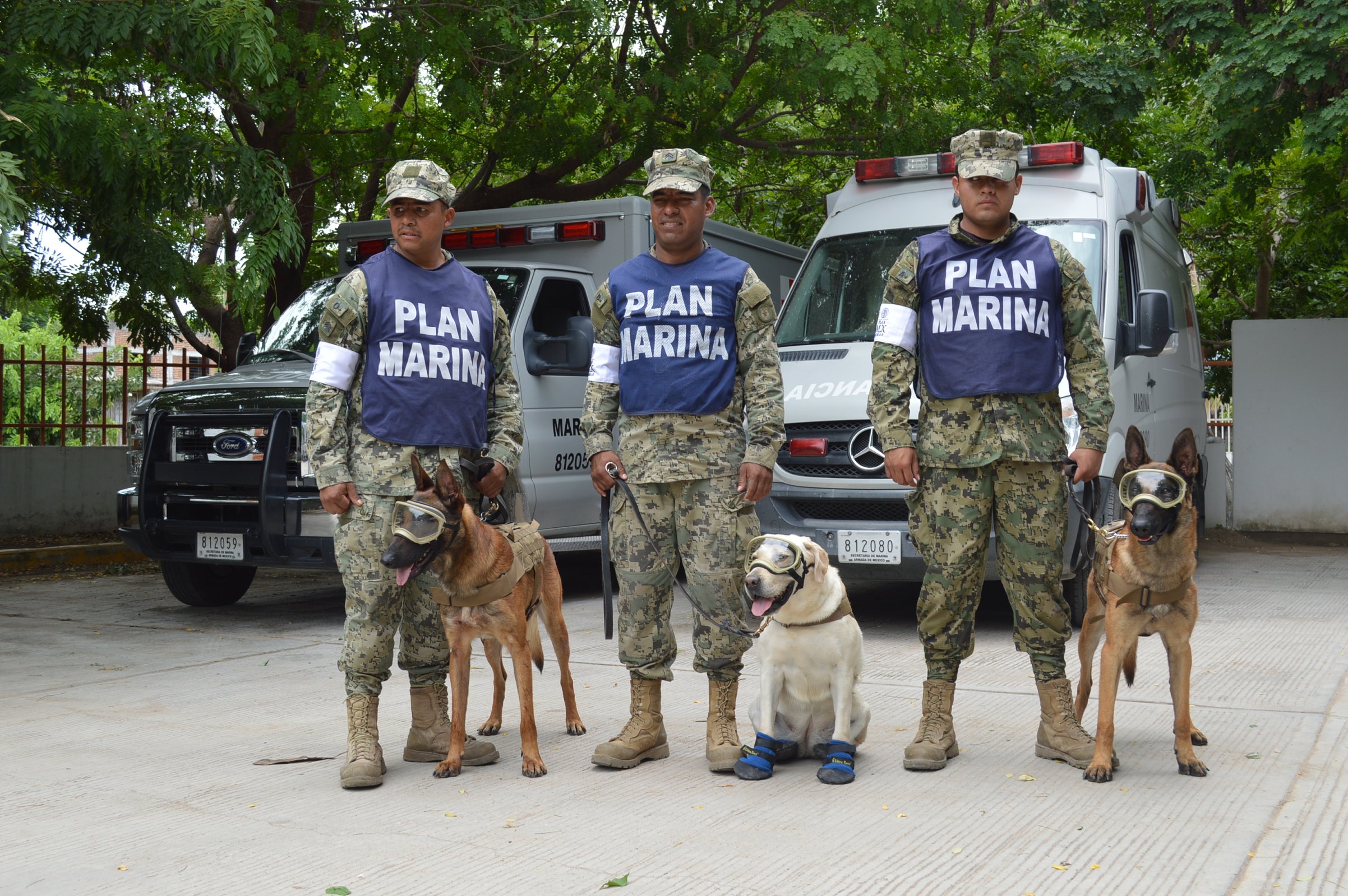 unidad canina semar rescata personas juchitan