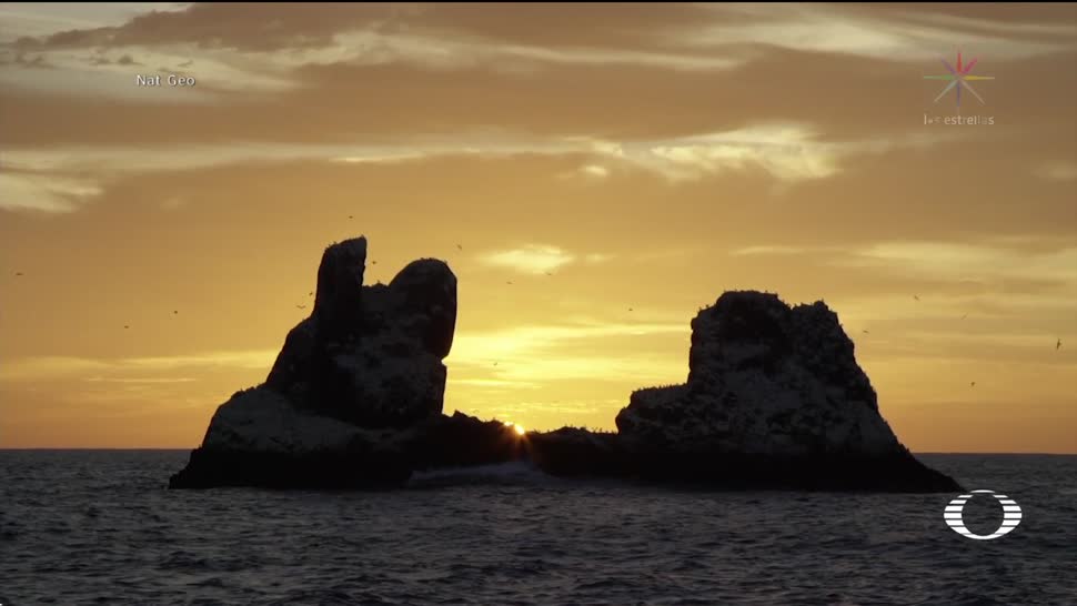 Islas Revillagigedo se convertirán en un Parque Nacional