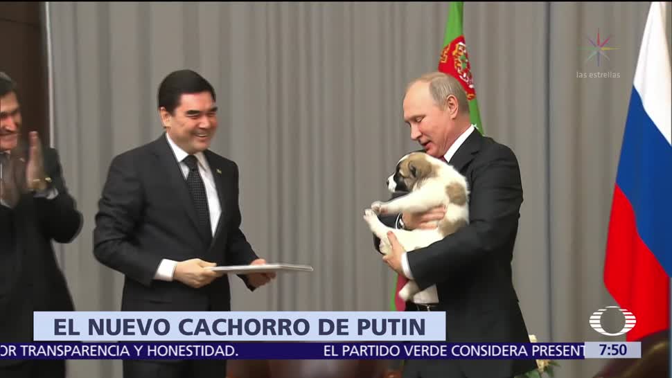 Presidente de Turkmenistán regala perro cachorro a Putin por su cumpleaños