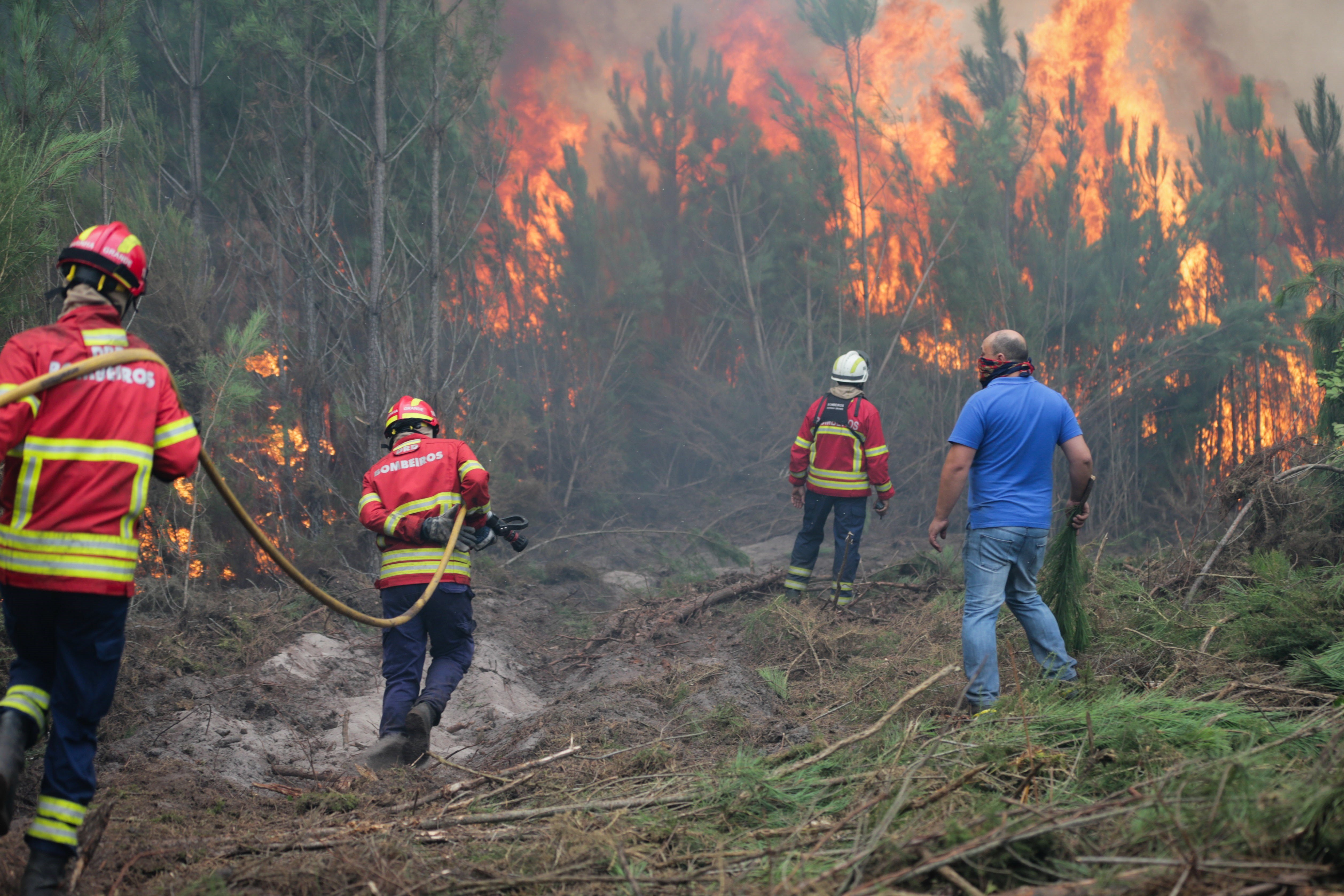 dimite ministra administracion interna portugal incendios