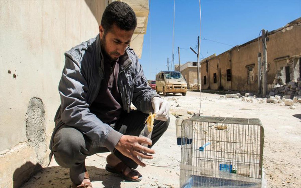 ONU investiga base aérea siria utilizada ataque químico