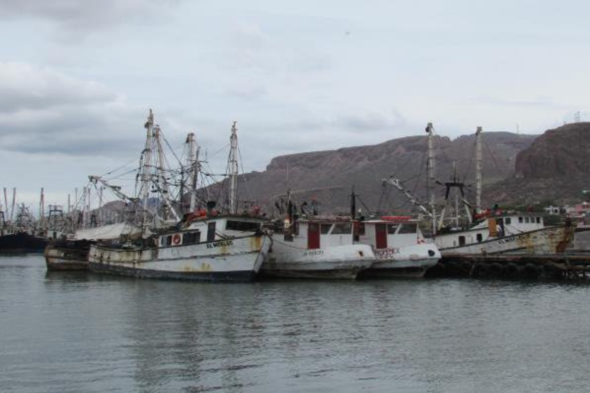 barcos abandonados contaminan bahias guaymas