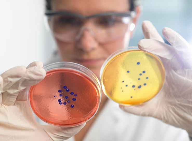 Científicos rusos descubren cómo prevenir resistencia a los antibióticos