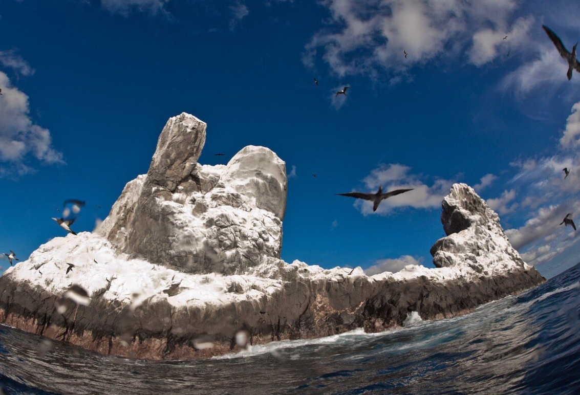 Gaviotas sobrevuelan roca del Parque Nacional de Revillagigedo en el Pacífico mexicano
