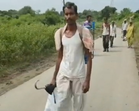 Mueren 19 granjeros y hospitalizan 438 envenenados pesticidas India