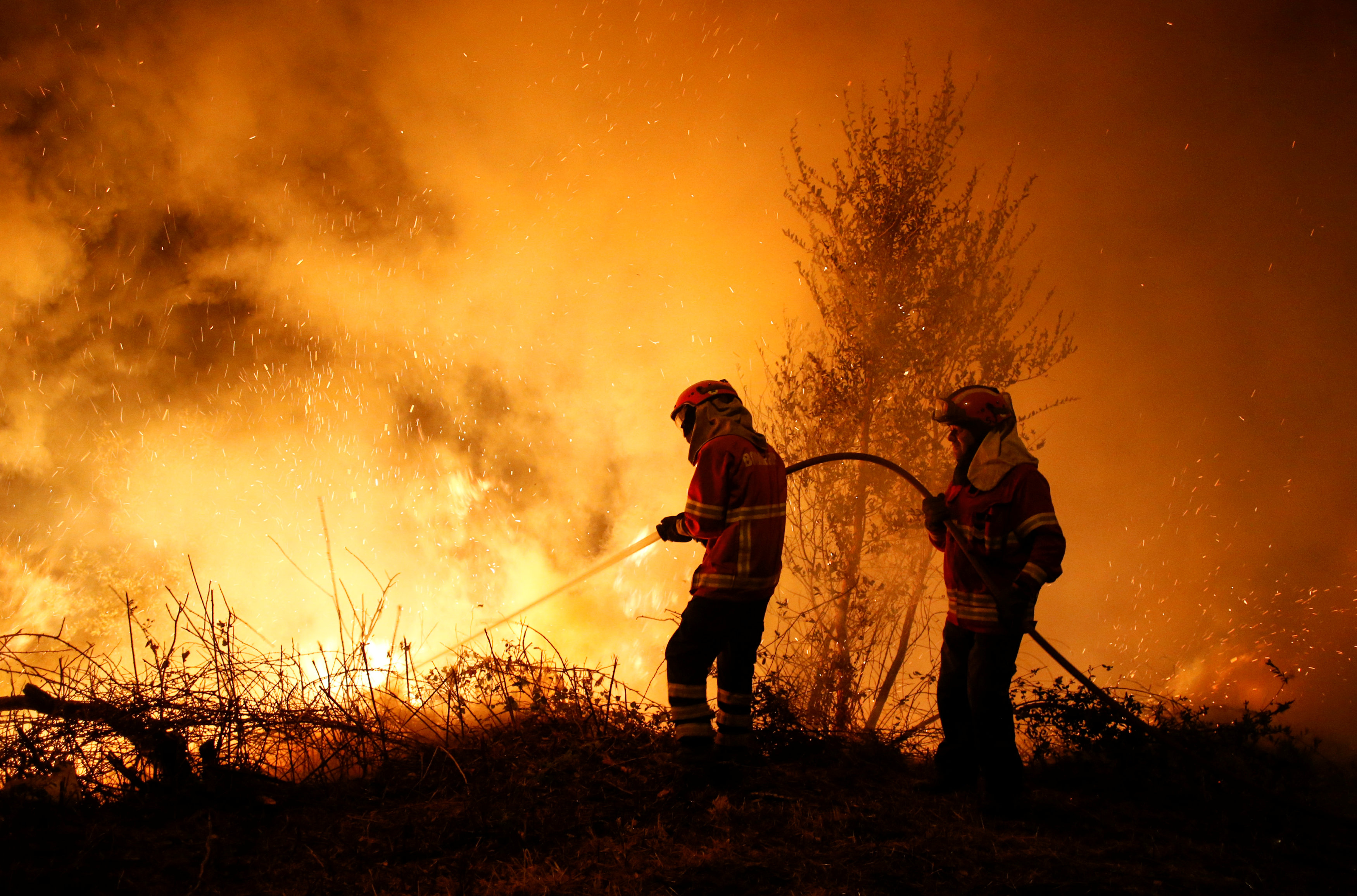 Suben 39 muertos incendios forestales Portugal y España