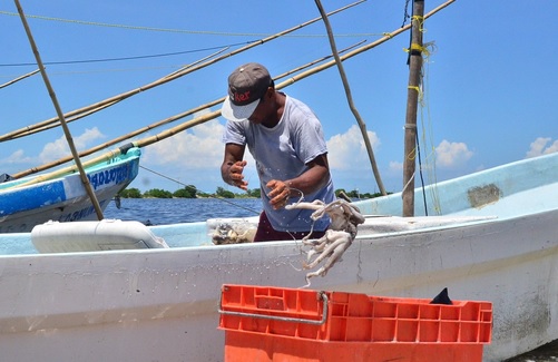 Aseguran 4 toneladas de pescado de procedencia ilegal en Campeche