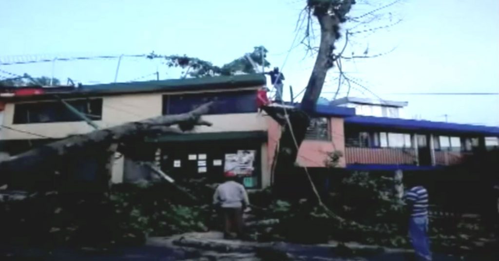 Rachas de viento dejan afectaciones en Xalapa, Veracruz