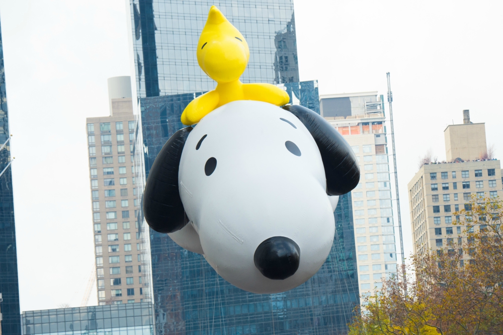 Charles Schulz, Charlie Brown, Snoopy, Cómics, Incendios, Casa