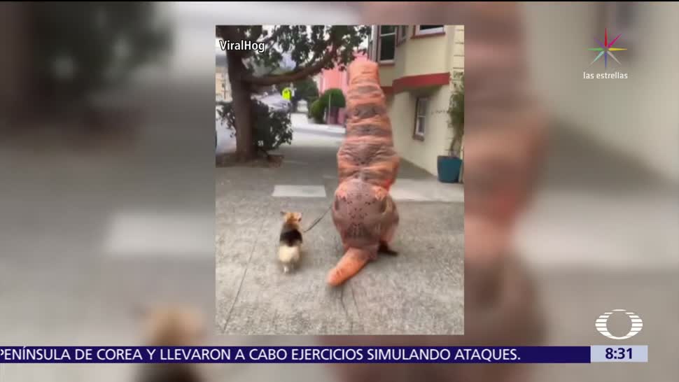 Hombre disfrazado de dinosaurio pasea con su perro en San Francisco