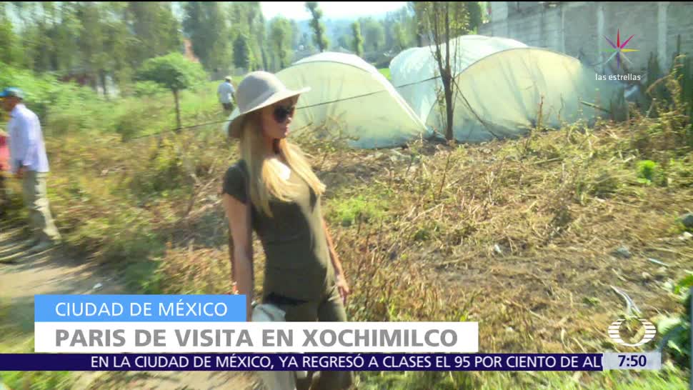 Paris Hilton visita albergue en San Gregorio Xochimilco, CDMX