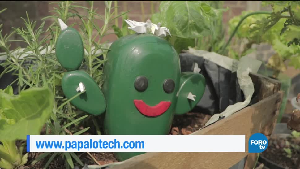 Papalotech. Un dispositivo para monitorear crecimiento de plantas