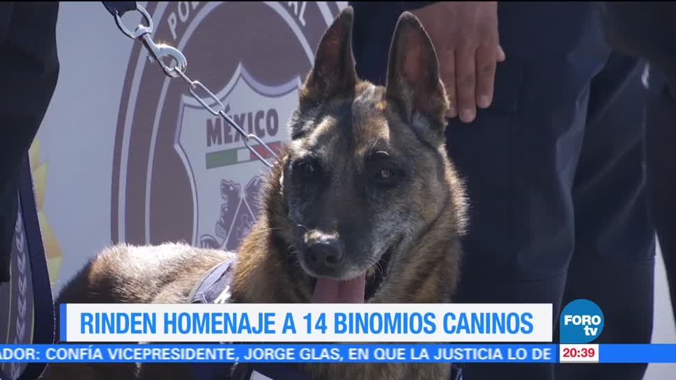 Policía Federal jubila a 14 binomios caninos
