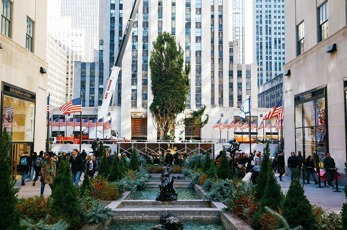 Colocan árbol de Navidad en el Rockefeller Center en Nueva York