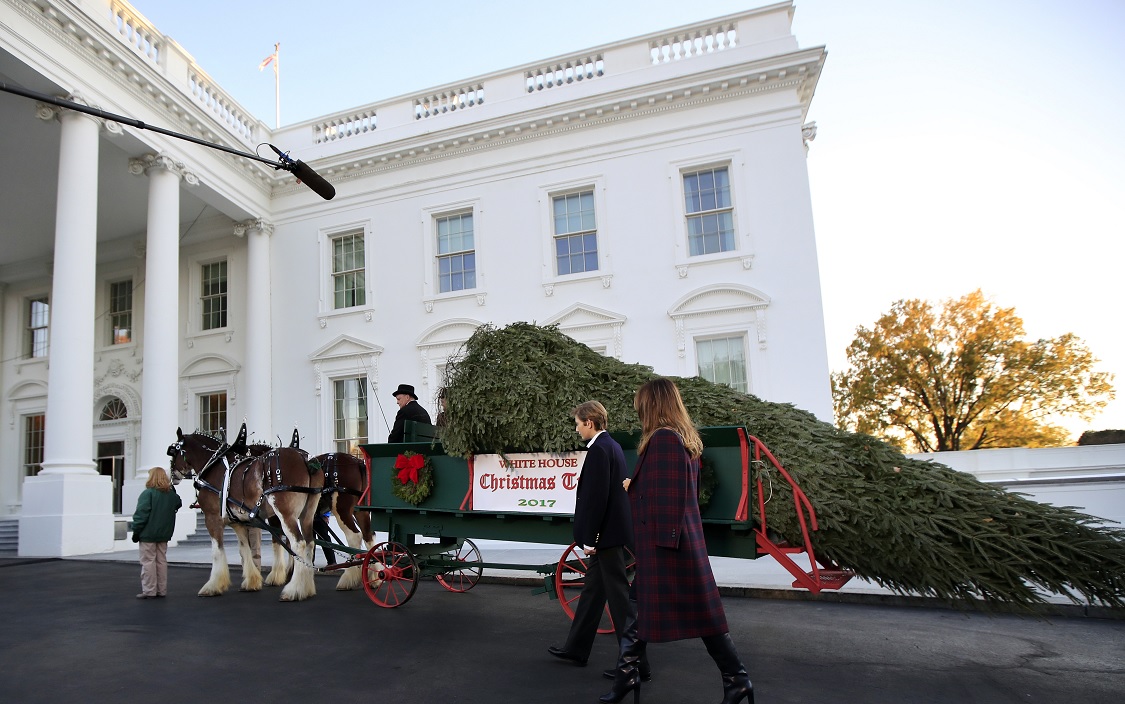 Melania Trump recibe árbol navideño Casa Blanca