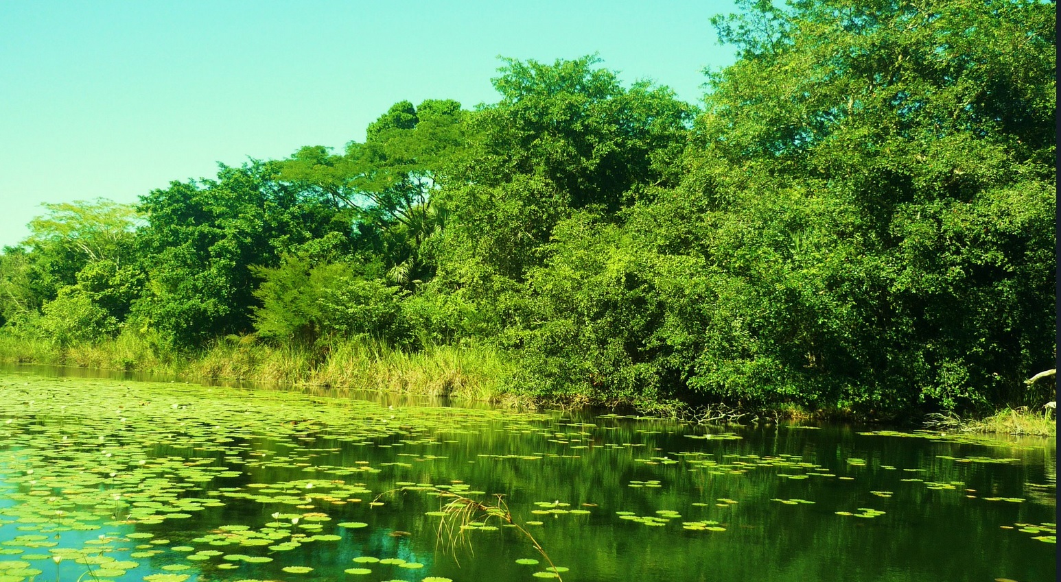 Ambientalistas recorrerán Biósfera de Los Petenes en Campeche