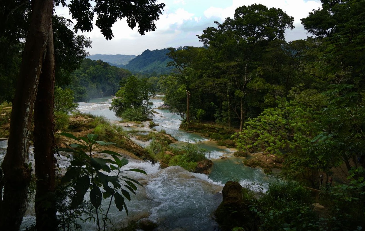 Se recupera afluente de Cascadas de Agua Azul en Chiapas