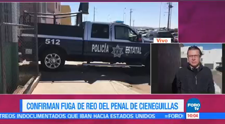 Confirman Fuga Reo Penal Cieneguillas Zacatecas