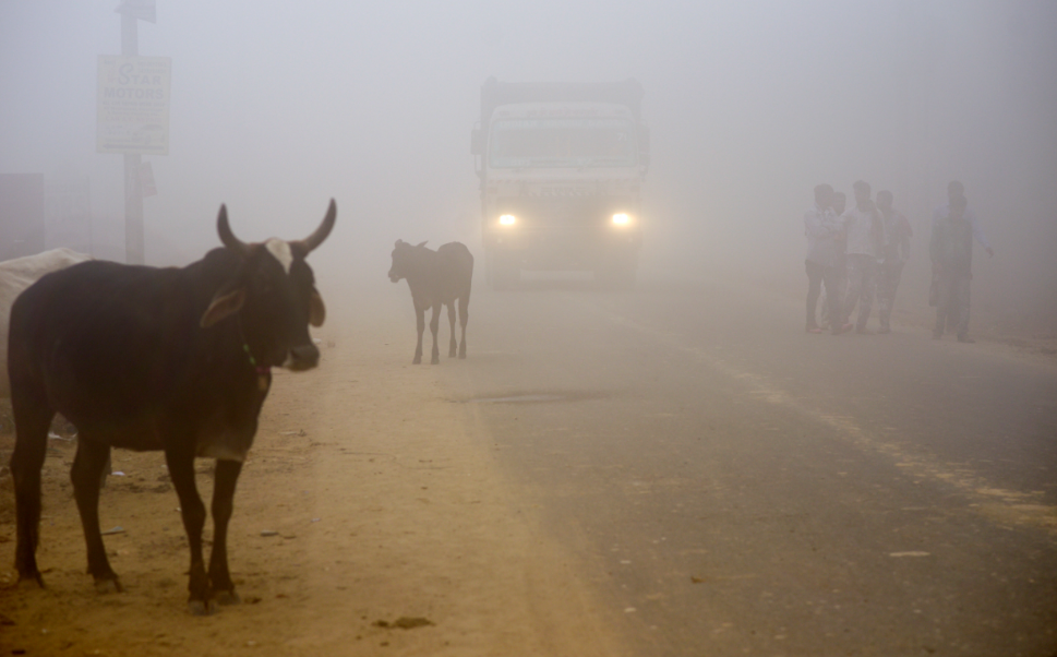 Contaminación atmosférica en Nueva Delhi, India 